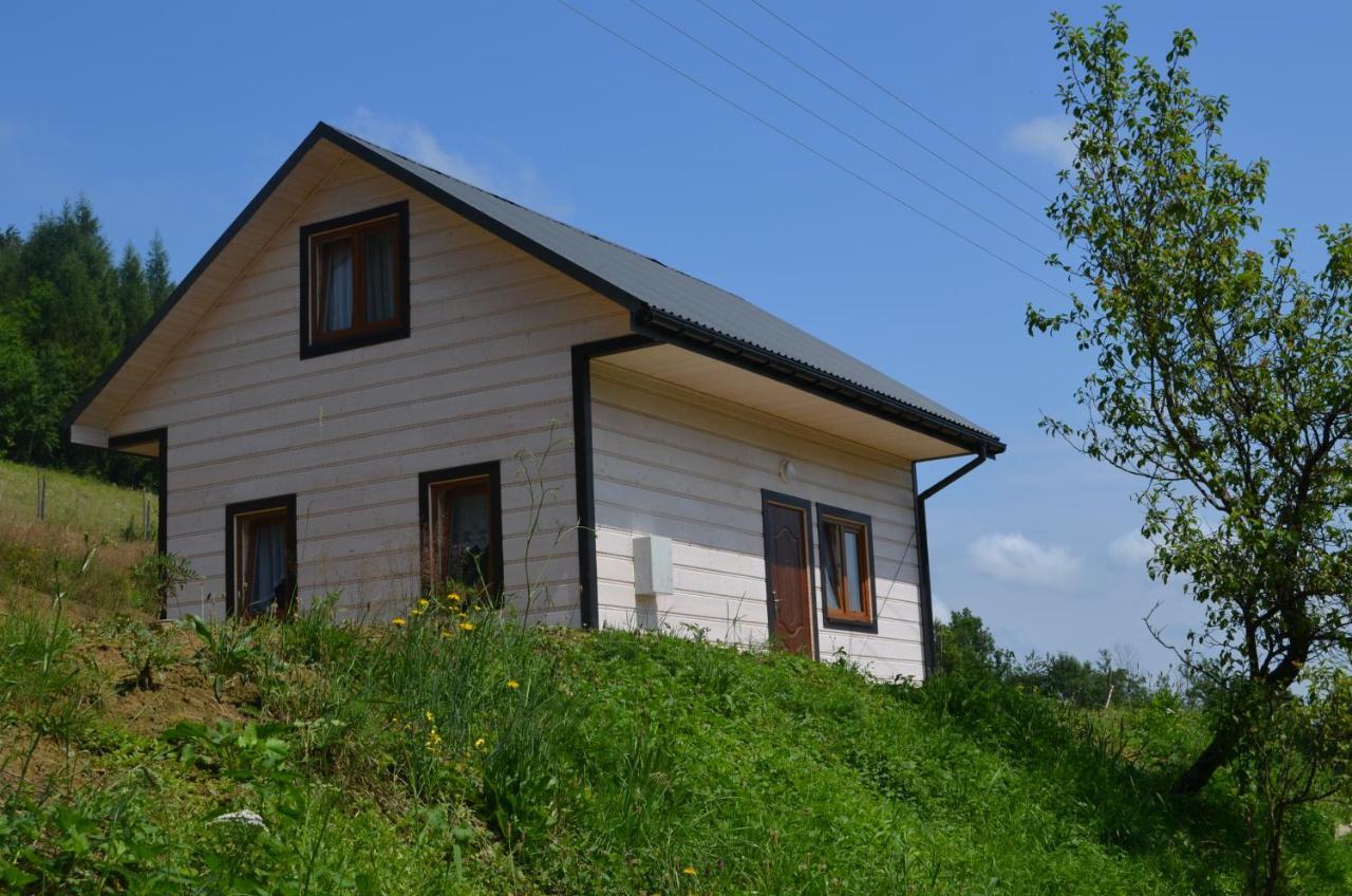 Domek Zacisze Gor Slonnych Tyrawa Woloska Luaran gambar